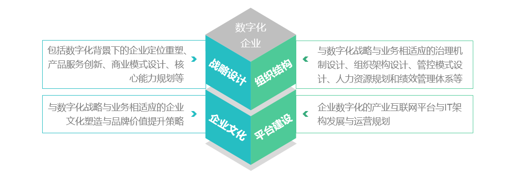 数字化转型咨询2.png