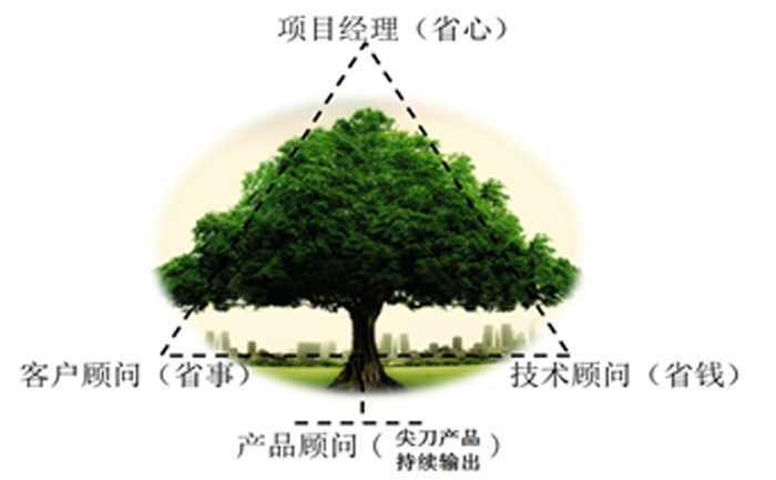 三和国际“铁三角”项目运作团队模型图