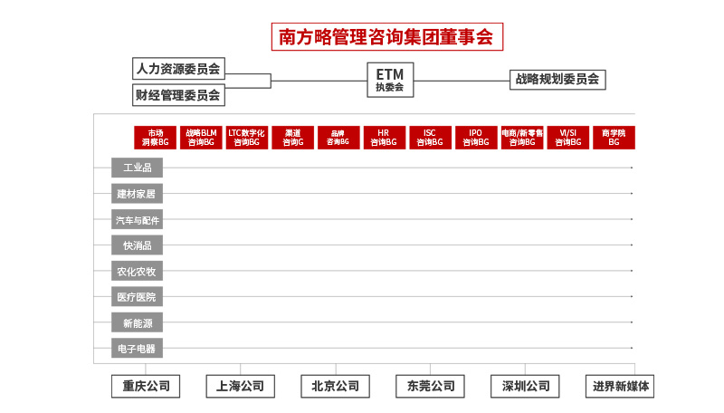 南方略咨询集团组织架构